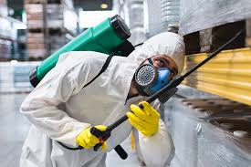 Best Fumigation Services  in Gilbert, IA